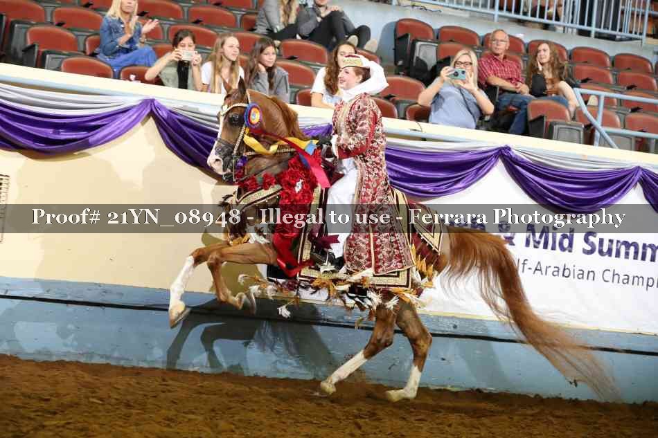 Proof 21YN_08948
