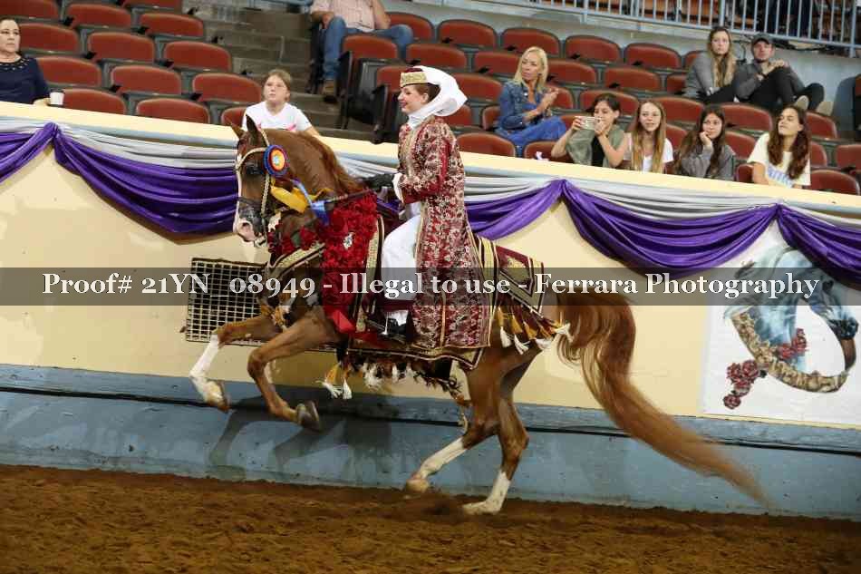 Proof 21YN_08949