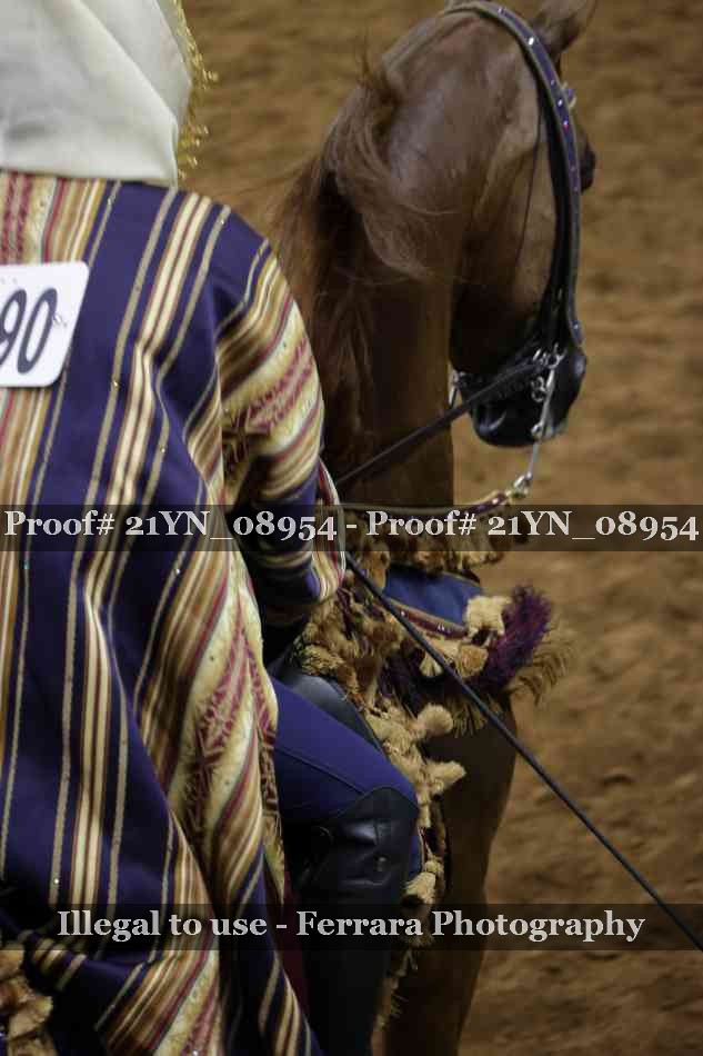 Proof 21YN_08954
