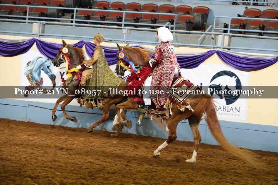 Proof 21YN_08957