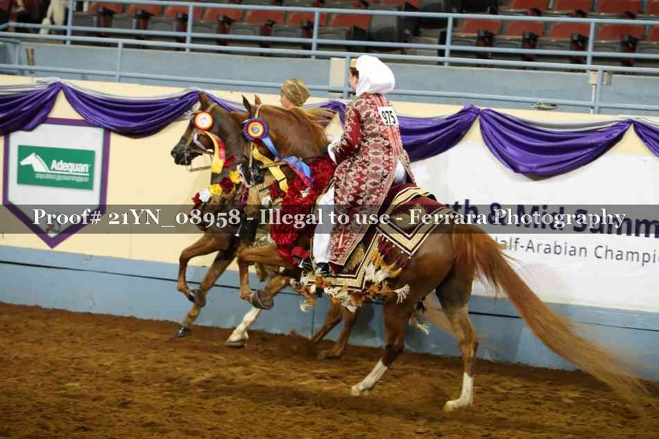 Proof 21YN_08958
