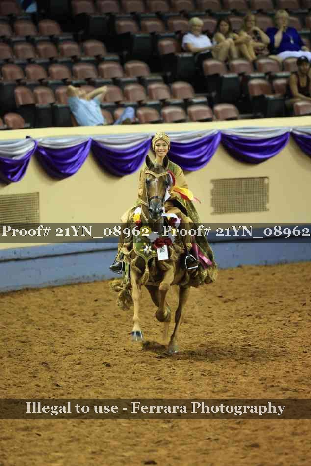 Proof 21YN_08962