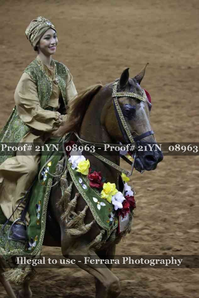 Proof 21YN_08963