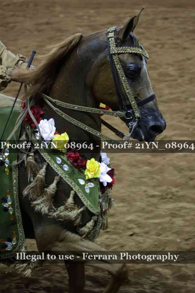 Proof 21YN_08964