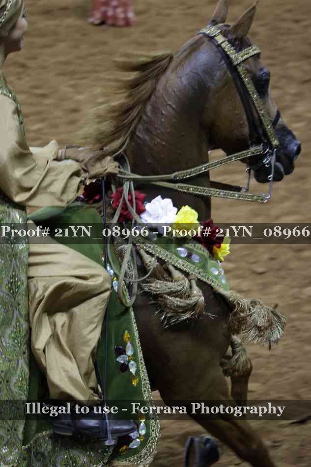 Proof 21YN_08966