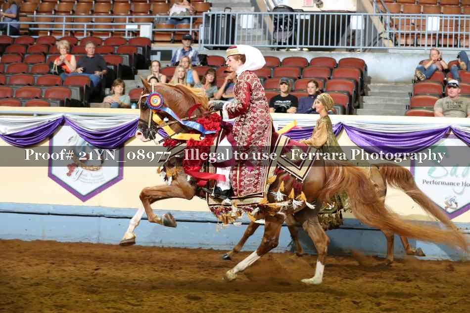 Proof 21YN_08977