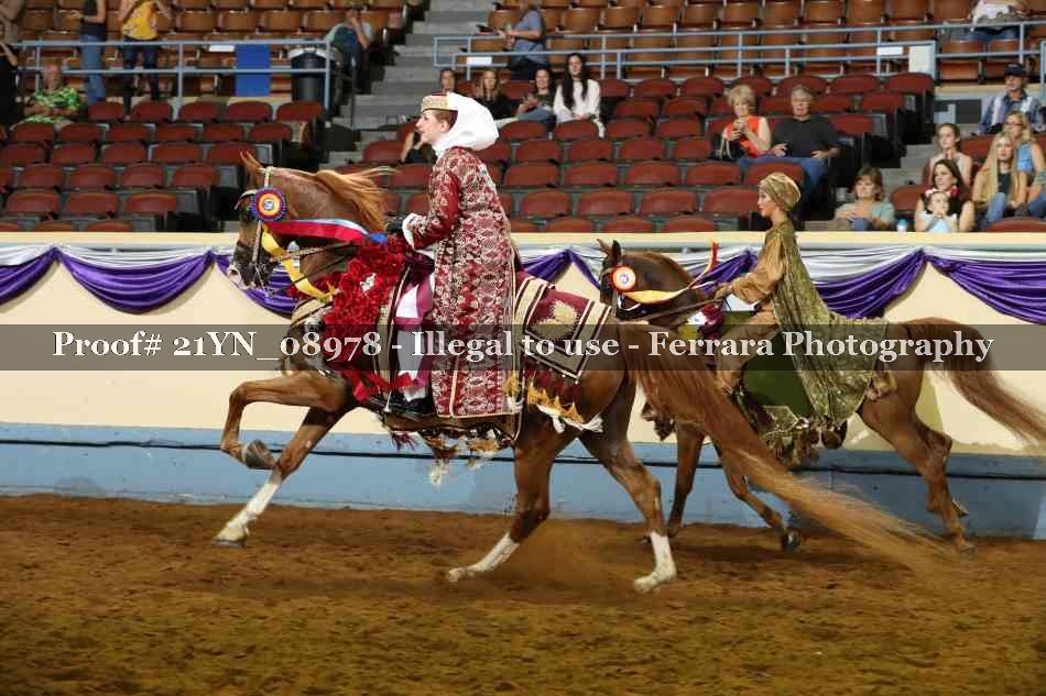 Proof 21YN_08978