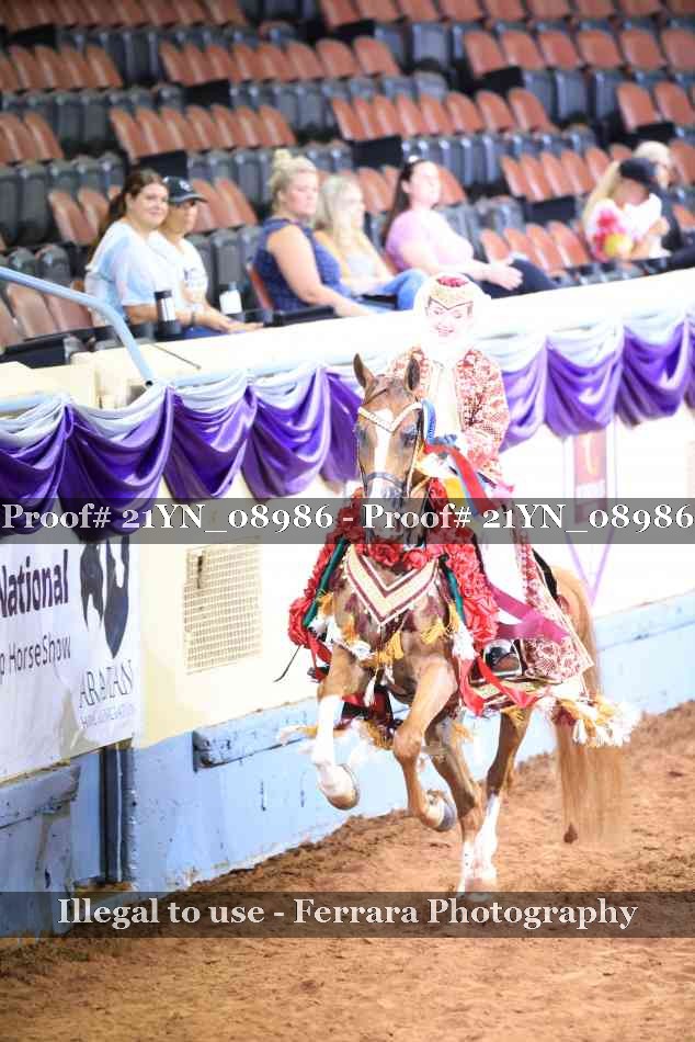 Proof 21YN_08986