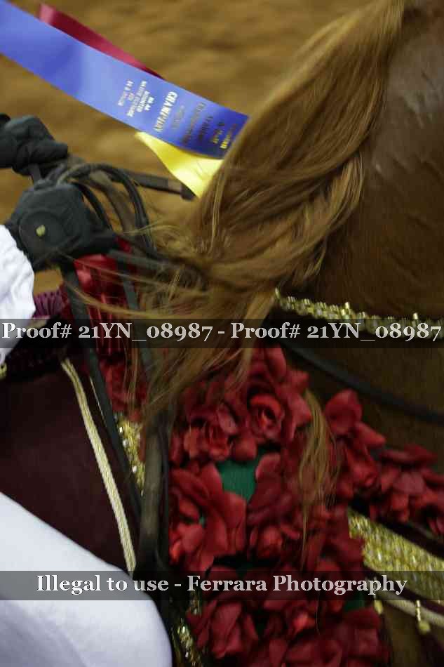 Proof 21YN_08987