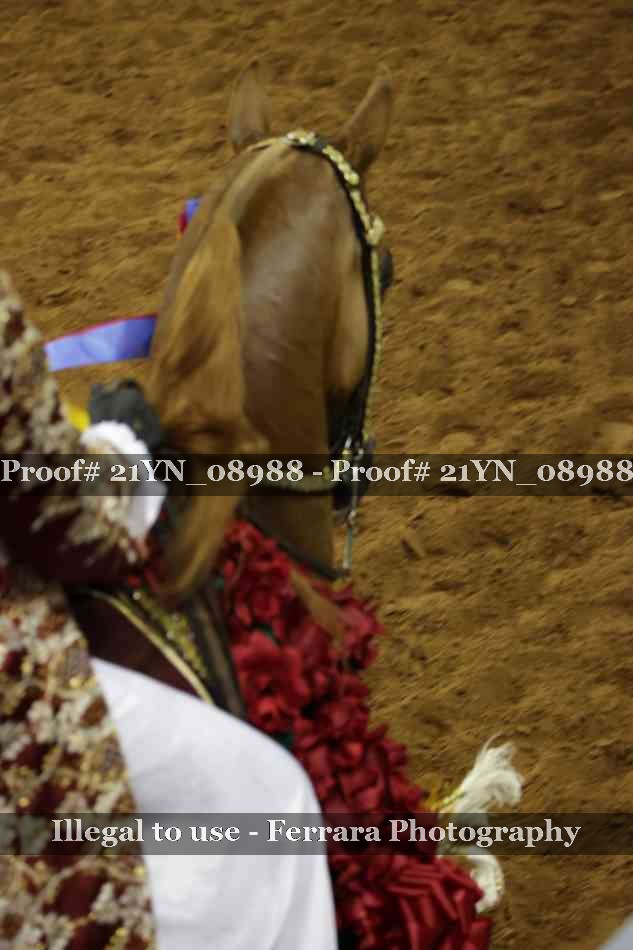 Proof 21YN_08988
