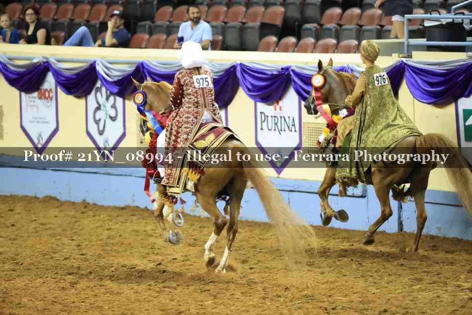 Proof 21YN_08994