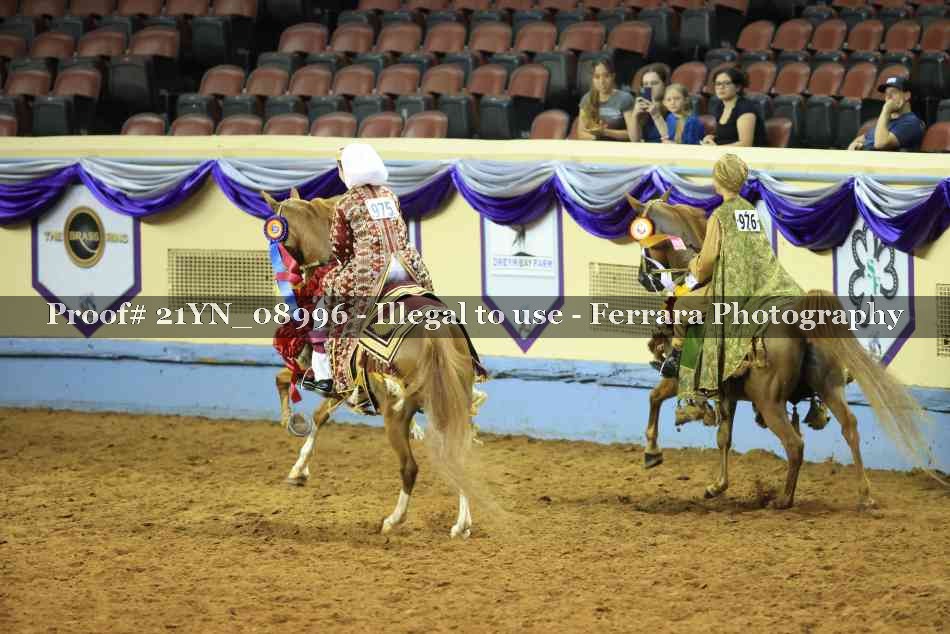 Proof 21YN_08996