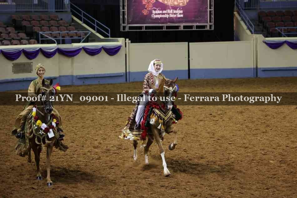 Proof 21YN_09001