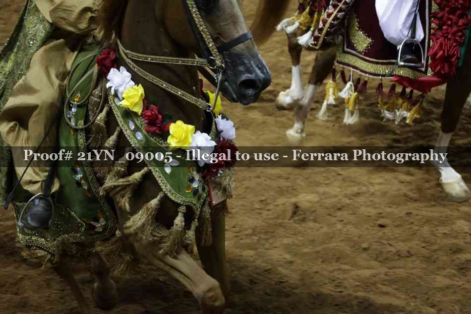 Proof 21YN_09005