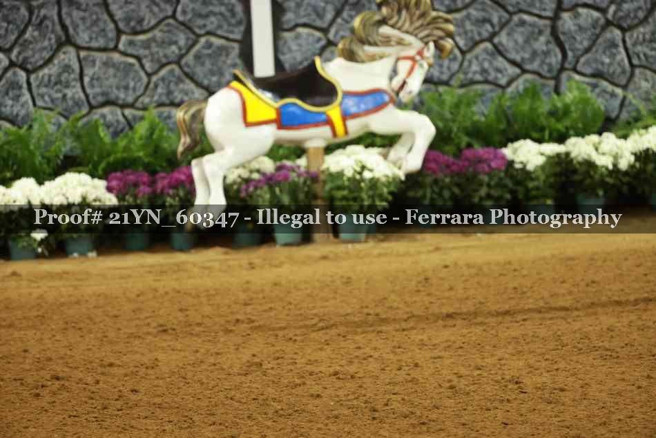 Proof 21YN_60347