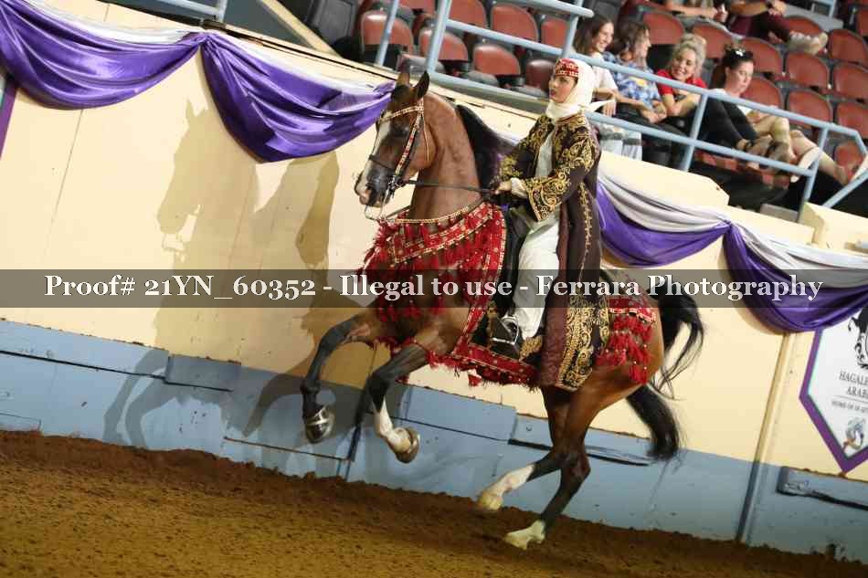 Proof 21YN_60352