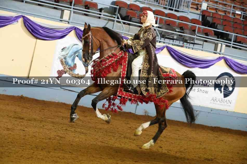 Proof 21YN_60364