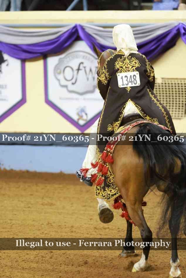 Proof 21YN_60365