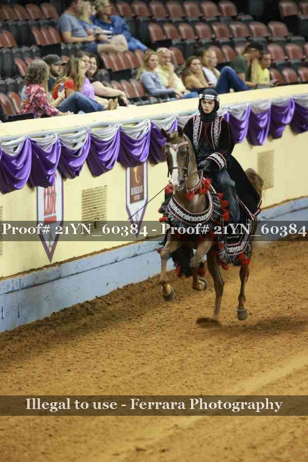 Proof 21YN_60384
