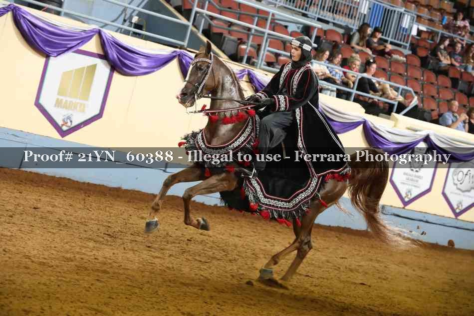 Proof 21YN_60388