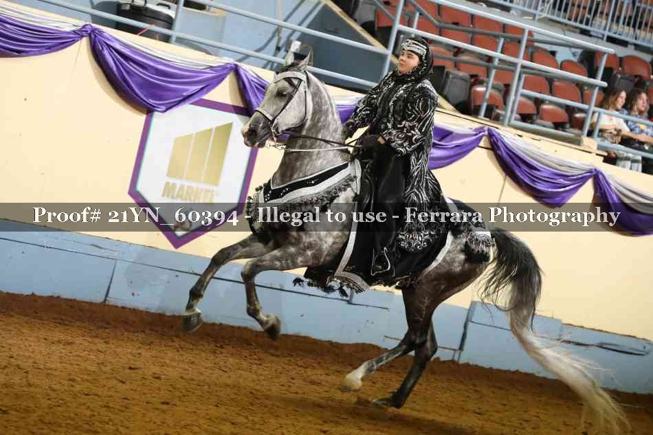 Proof 21YN_60394