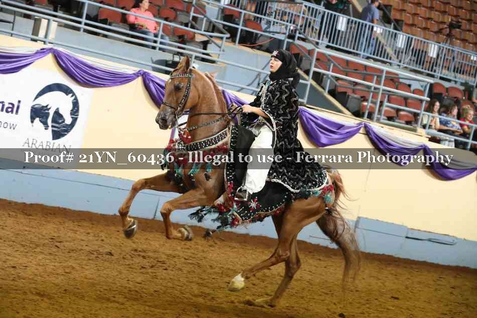 Proof 21YN_60436