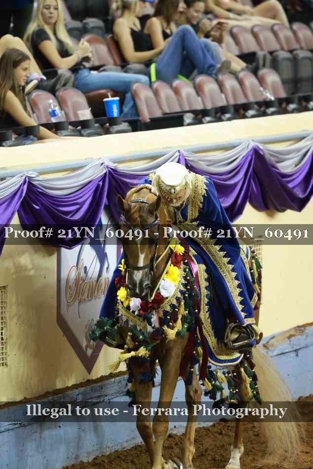 Proof 21YN_60491
