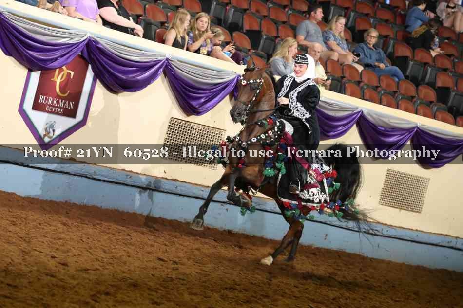 Proof 21YN_60528