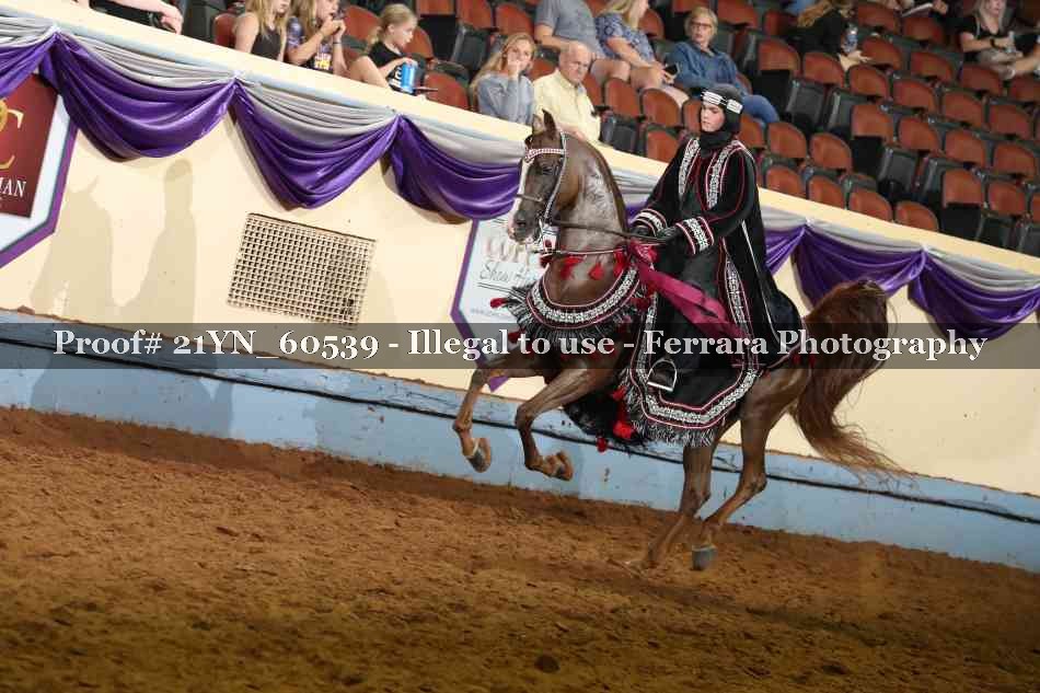 Proof 21YN_60539