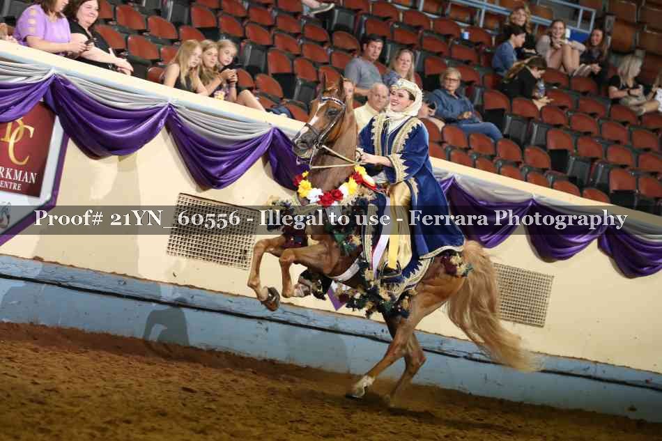 Proof 21YN_60556