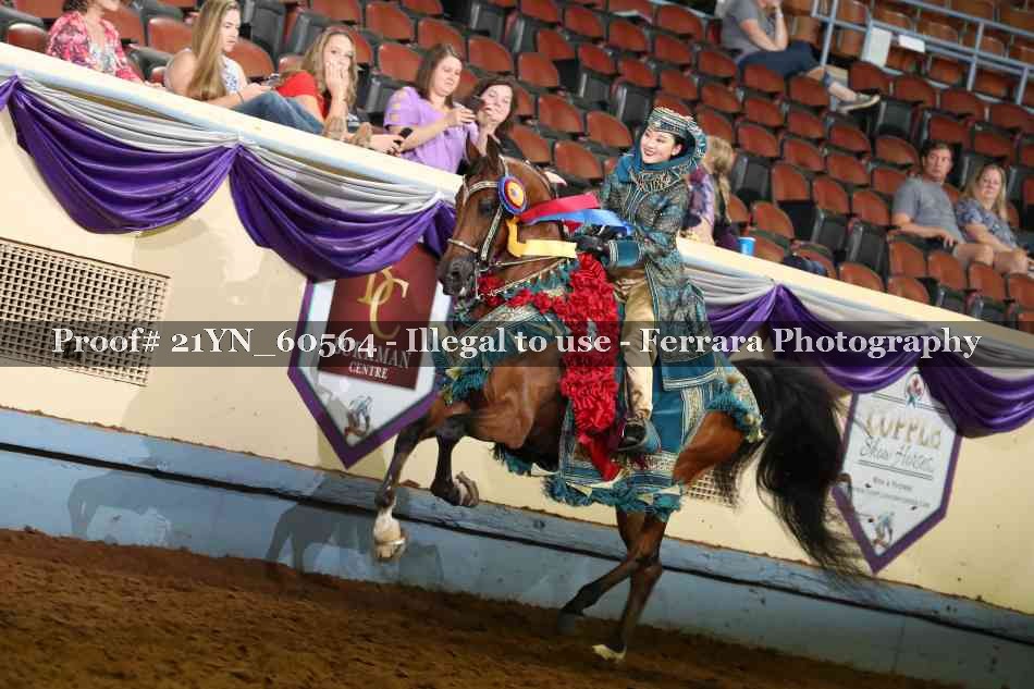 Proof 21YN_60564