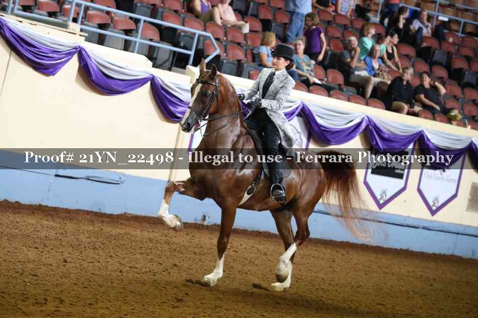 Proof 21YN_22498