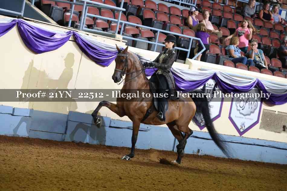 Proof 21YN_22512