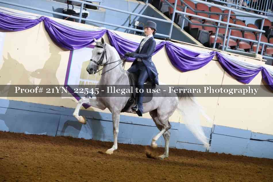 Proof 21YN_22545