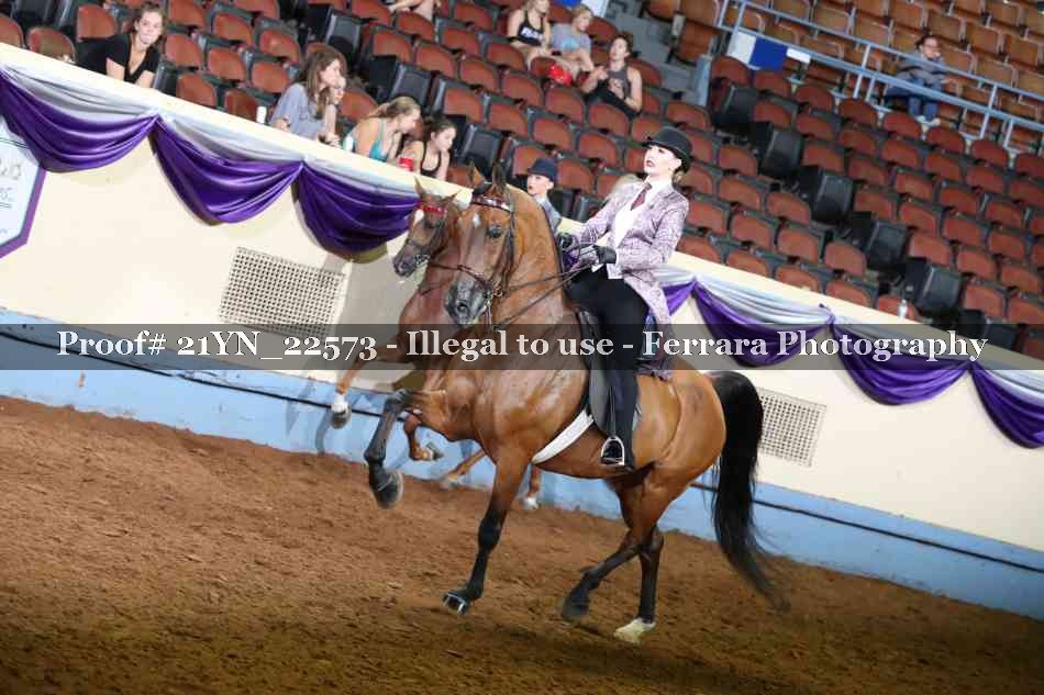 Proof 21YN_22573