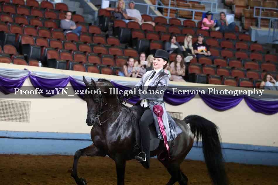 Proof 21YN_22606