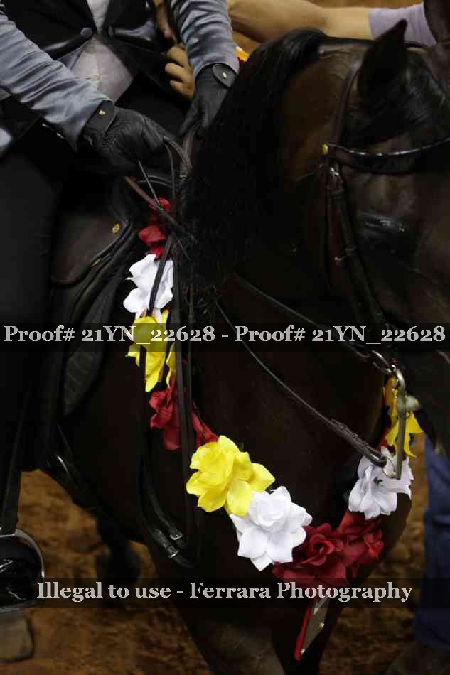 Proof 21YN_22628