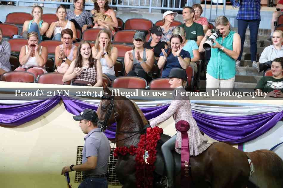 Proof 21YN_22634
