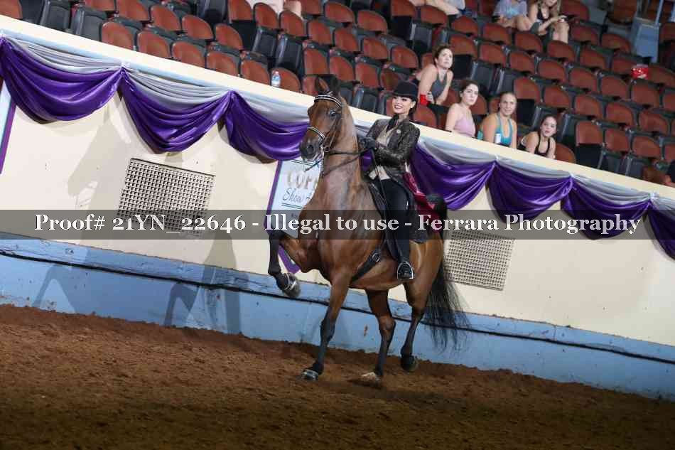 Proof 21YN_22646