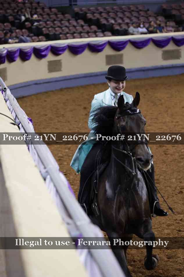 Proof 21YN_22676