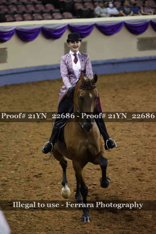 Proof 21YN_22686