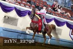 21YN_22702 proof