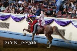 21YN_22706 proof