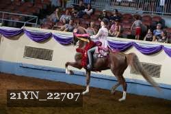 21YN_22707 proof