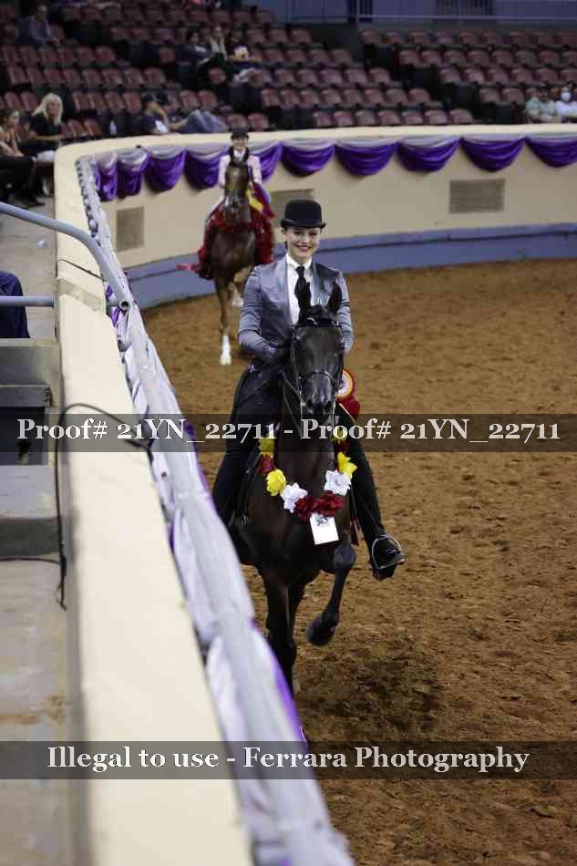 Proof 21YN_22711