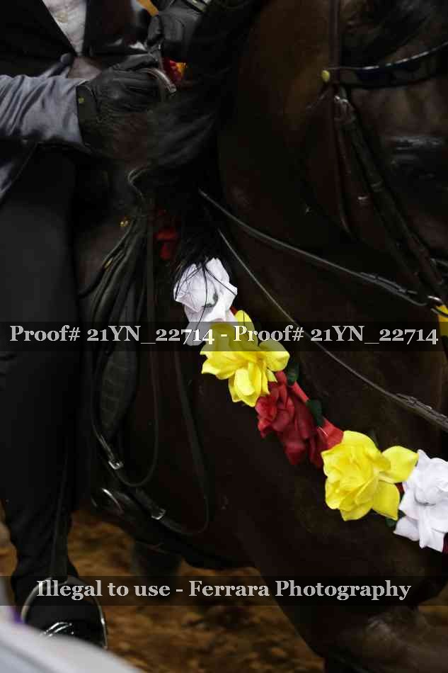 Proof 21YN_22714