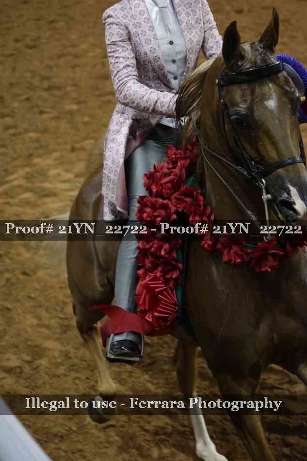Proof 21YN_22722