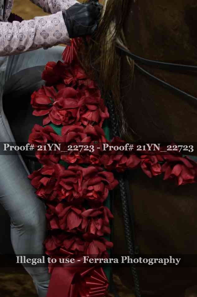 Proof 21YN_22723