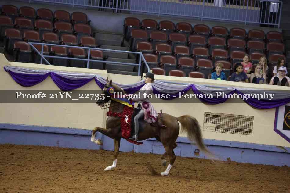 Proof 21YN_22735