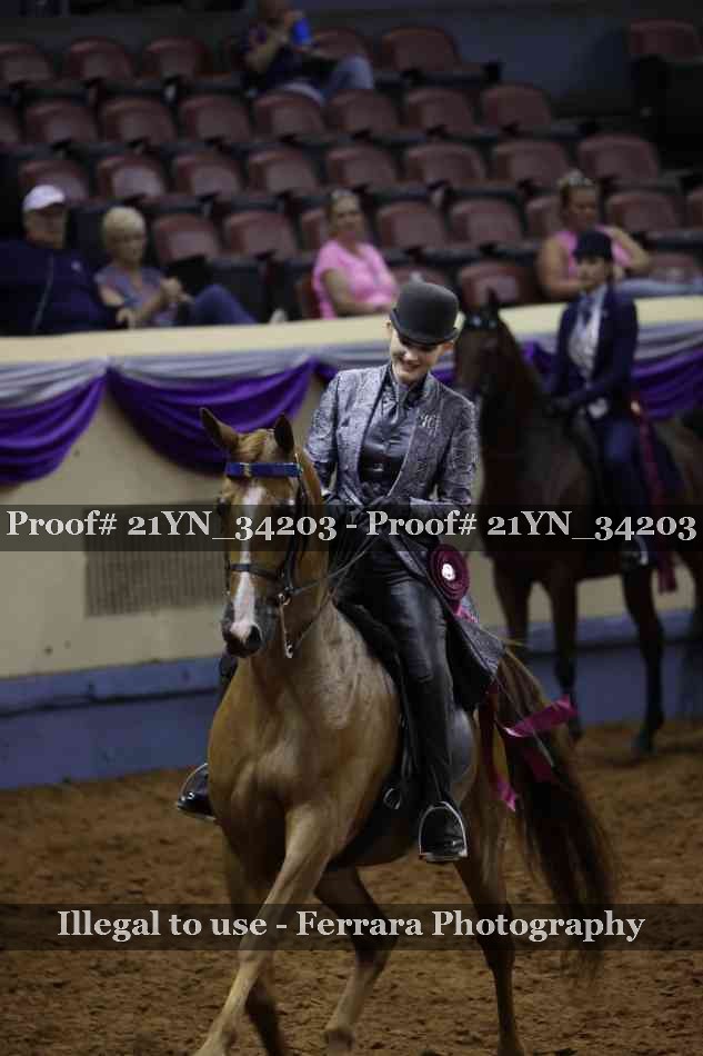 Proof 21YN_34203